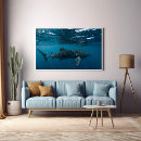 Search for whale shark posters Photography
