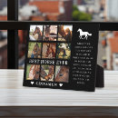 Recherche de photos de cheval Amoureux des animaux