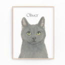 Recherche de chartreuse posters Chartreux
