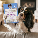 Search for spaniel invitations Dog
