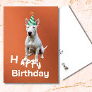 Recherche de bull terrier birthday cards Mignon