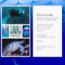 Search for scubadiving Scubadiver