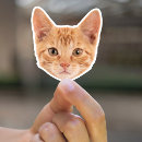 Search for cat photo stickers Cardstock