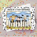 Search for funny cow cartoon cards Pun