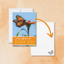 Search for monarch butterflies cards Orange