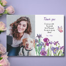 Search for iris flower cards Flowers