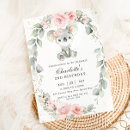 Search for koala birthday invitations Whimsical