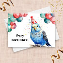 Search for parakeet cards Funny