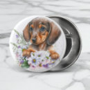 Search for dachshund buttons Pet