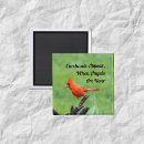 Search for appearance kitchen dining Cardinal