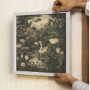 Recherche de cygne blanc posters Pour elle