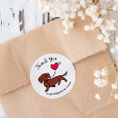 Recherche de smoothies autocollants Dachshund