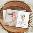 Search for its a boy cards Cute