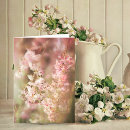 Search for willow tree cards Botanical