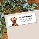 Search for vizsla return address labels Hungarian pointer