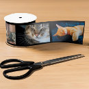 Recherche de film rubans Mignon