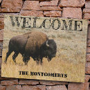 Search for bison Travel