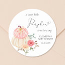 Search for cute pumpkin stickers Modern