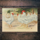 Search for vintage rooster tissue paper Chickens