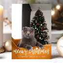 Recherche de funny cat christmas cards Pour animaux