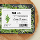 Search for arugula Vegetable