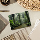 Recherche de paysage exotique cartes postales Jungle