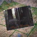 Recherche de séquoias cartes postales Muir woods