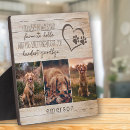 Recherche de pet supplies Rustique