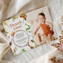 Search for insects photo cards Nature