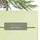 Search for trendy return address labels Bold