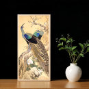 Recherche de peacock posters Rose