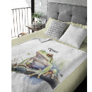 Search for tree frog blankets Amphibian