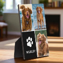 Recherche de blocs animaux articles Pour tous