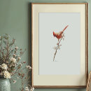 Search for cardinal gifts Cardinalis cardinalis