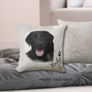Recherche de labrador coussins Amoureux des chiens