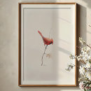 Recherche de cardinal rouge posters Peinture d'oiseau