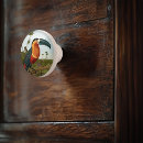 Recherche de peinture toucan Faune