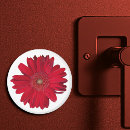 Search for gerber daisies magnets Floral