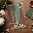 Search for sequoia national park postcards Vintage
