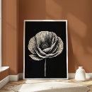 Search for poppy posters Botanical illustration