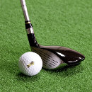 Search for sugar golf balls Cute