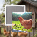 Search for chicken magnets Animal