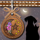 Search for system pet supplies Stars
