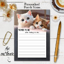 Recherche de humour de chat post its Chaton