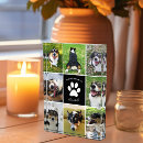 Search for dog memorial photo display Loss