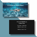 Search for shark underwater Sea life
