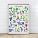 Recherche de majuscule posters Alphabet