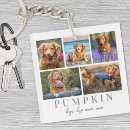 Search for pet memorial keychains Modern simple template