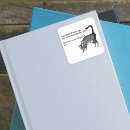 Search for grey cats stickers White