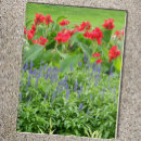 Recherche de photo agendas Floral
